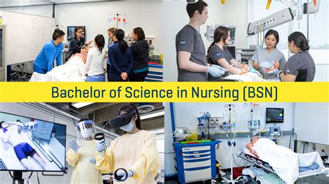 bucit courses|bcit courses nursing.